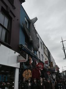 11921970_10206554892545128_1699837427_n