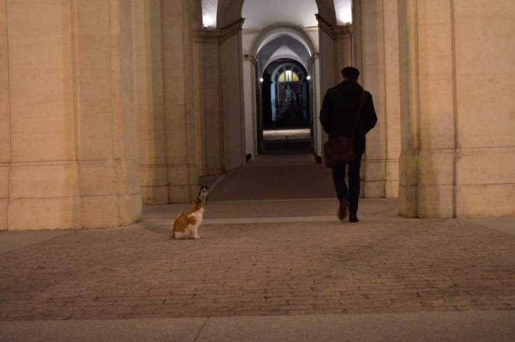 16359197_10210078650136991_437417175_n