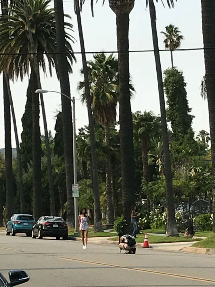 ac7edc05-0fcb-4679-bf3c-7bb025594ae1-1